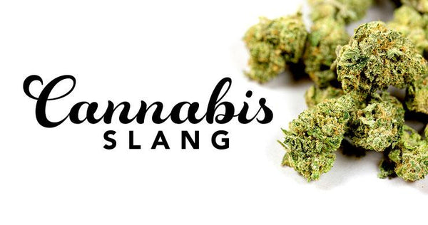 Slang Used for Cannabis