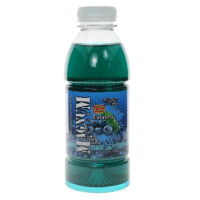 Magnum 1 Hour System Cleaner Blueberry 16 Fl. Oz. Accessories
